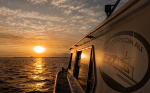 Sunset over Port Phillip bay aboard St Kilda Ferry Sunset Penguin Cruise. ©St Kilda Ferry